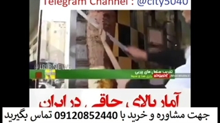 درمان چاقی با دمنوش چربی سوز 09120852440