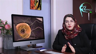 آیا با تنبلی تخمدان می توان باردار شد؟