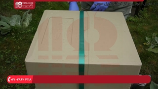 آموزش زنبورداری | انتقال کندوچه ها | کلونی های زنبورداری