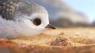 انیمیشن کوتاه Piper