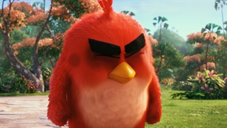 تریلر انیمیشن پرندگان خشمگین | The Angry Birds Movie