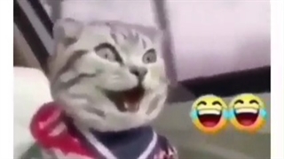 اولین سفر بعد قرنطینه هممون اینجوری میشیم