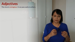 Covid-19 and the Related Adjectives in English