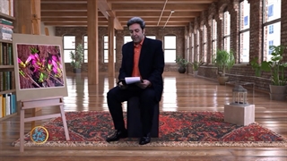 شعر فریدون مشیری با خوانش علیرضا بهرامی