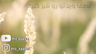 آموزش قلمه زدن پتوس