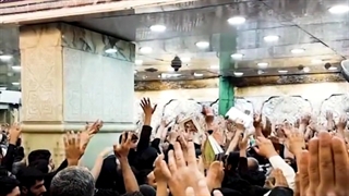 اخی المؤمن: اقصد زیارة المولى ابی عبدالله وادعو وتضرع تحت قبته المقدسة بنیة ظهور ولده الامام المهدی (ارواحنافداه)