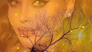 نماهنگ...گل اندام