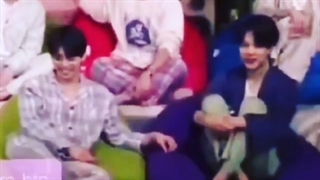 همچی آرومه همچی عادیه مگ نه؟