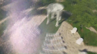 استدیو شاین بهترین آتلیه عروس و کودک در غرب تهران