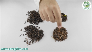 مقایسه و بررسی انواع چای ایرانی | راهنمای جامع خرید چای ایرانی
