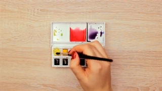 What Is The Difference Between Watercolors In PANS, TUBES & LIQUID Watercolors