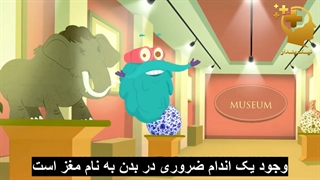 مغز شما چگونه کار می کند؟