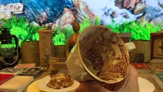 فال قهوه پیشگویی با ۲ انتخاب، با هر نیتی که داری