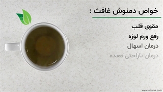 دمنوش گیاه غافث | عطارک | عطاری آنلاین