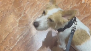 فردا چه روزیه؟؟