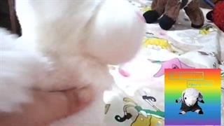 پشت صحنه ی فیلم خانواده پشمکی فصل۱قسمت۱