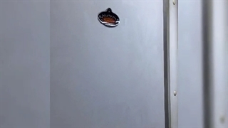 سردخانه متحرک