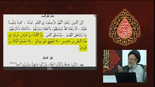 30 - آیا حضرت علی علیه السلام در نهج البلاغه امامت الهی را منکر شده اند ؟