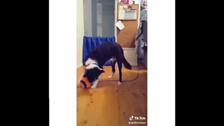 خنده دار ترین میم های یوتیوب قسمت 43