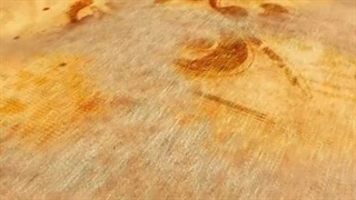 شیعیان عثمان حضرت علی را خلیفه راشد نمی دانستند و به همین خاطر فحش می دادند - اعتراف ابن تیمیه در کتالب منهاج السنه