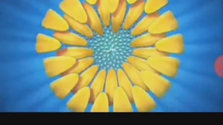 درس پژوهی برگزیده/ دبستان دخترانه شاهپسند دائیان مهدیشهر