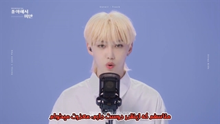 Stray Kids _ Sorry I Love You