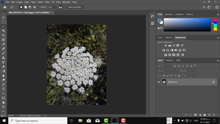 انتحاب شکل های پیچیده در فتوشاپ-Mixkade.ir