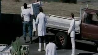 فیلم ترسناک گوسفند سیاه BLACK Sheep 2006