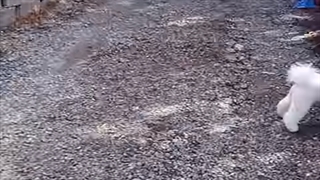 قسمت چهارم برنامه Hyuna-ing ، وی لاگ زوج کیپاپ هیونا و دان + زیرنویس فارسی