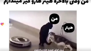 پارت دوم  رمان عاشق برادرم شدم کپشن