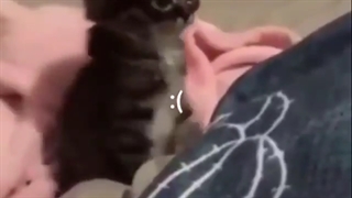 ⁦(◍•ᴗ•◍)❤⁩