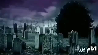 فالوکن فالو شی