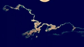 فالو کن فالو