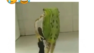 ∆خبر مهممممممم∆ برای همه کسایی ک انیمه میبینن