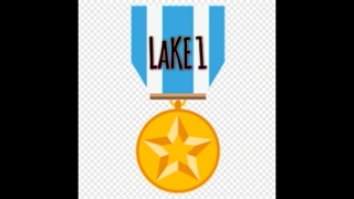 مدال لایک اول  «تقدیمی»   	  s.f.mix