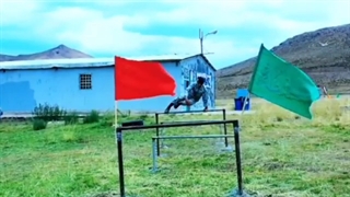 دانشگاه ستاری