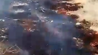 آتش‌ سوزی زنجیره‌ای جنگل‌های کوه برز شهرستان فیروزآباد فارس