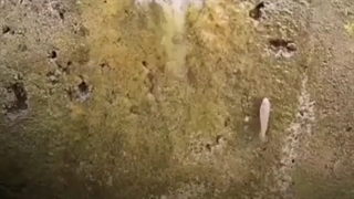 تسلیم نشو ! اگه یه بار جا بزنی برات عادت میشه!!!