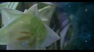 Enya - Only Time