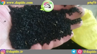 کیفیت سیاه دانه بوجاری شده داپیدو ( 98 درصد خالص )