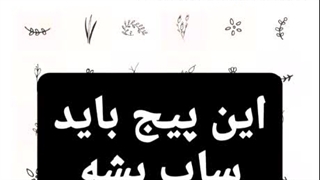 آرمی التماست میکنم بیا کپ