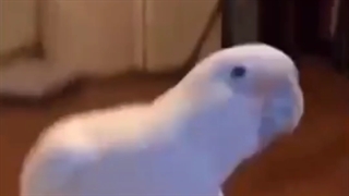 عی بابا من ک دوباره اومدم