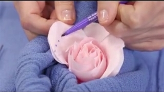 فیلم جراحی لابیاپلاستی