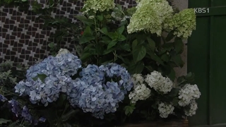سریال کره ای فردا دوباره هوا آفتابی است قسمت پنجاه ودوم زیرنویس چسبیده