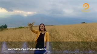 آنیتا - بدعادت