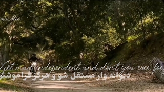 میکس اکشن و جذاب از فیلم Black Widow 2021*به مناسبت یک سالگی کانالم :)