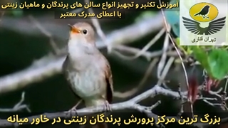 بزرگ ترین مرکز پرورش پرندگان زینتی در خاور میانه