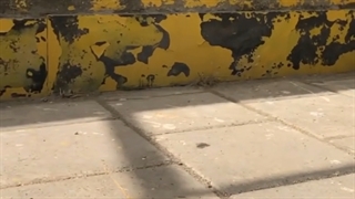 کتانی نایک ایر جردن