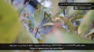 دانلود پلاگین VSCO Film 01-07 in LUTS برای افترافکت و پریمیر