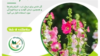 گل ختمی روکش دندان